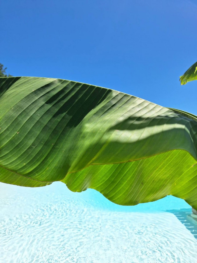 Exterior, Casa Botanica  Žminj