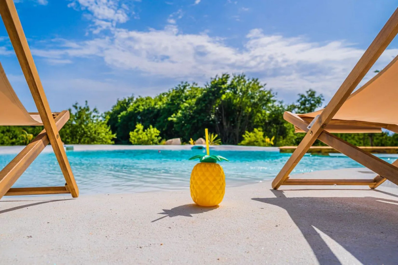 Casa Botanica - Oasis of tranquility: tropical pool in summer, jacuzzi & sauna in winter, Casa Botanica  Žminj